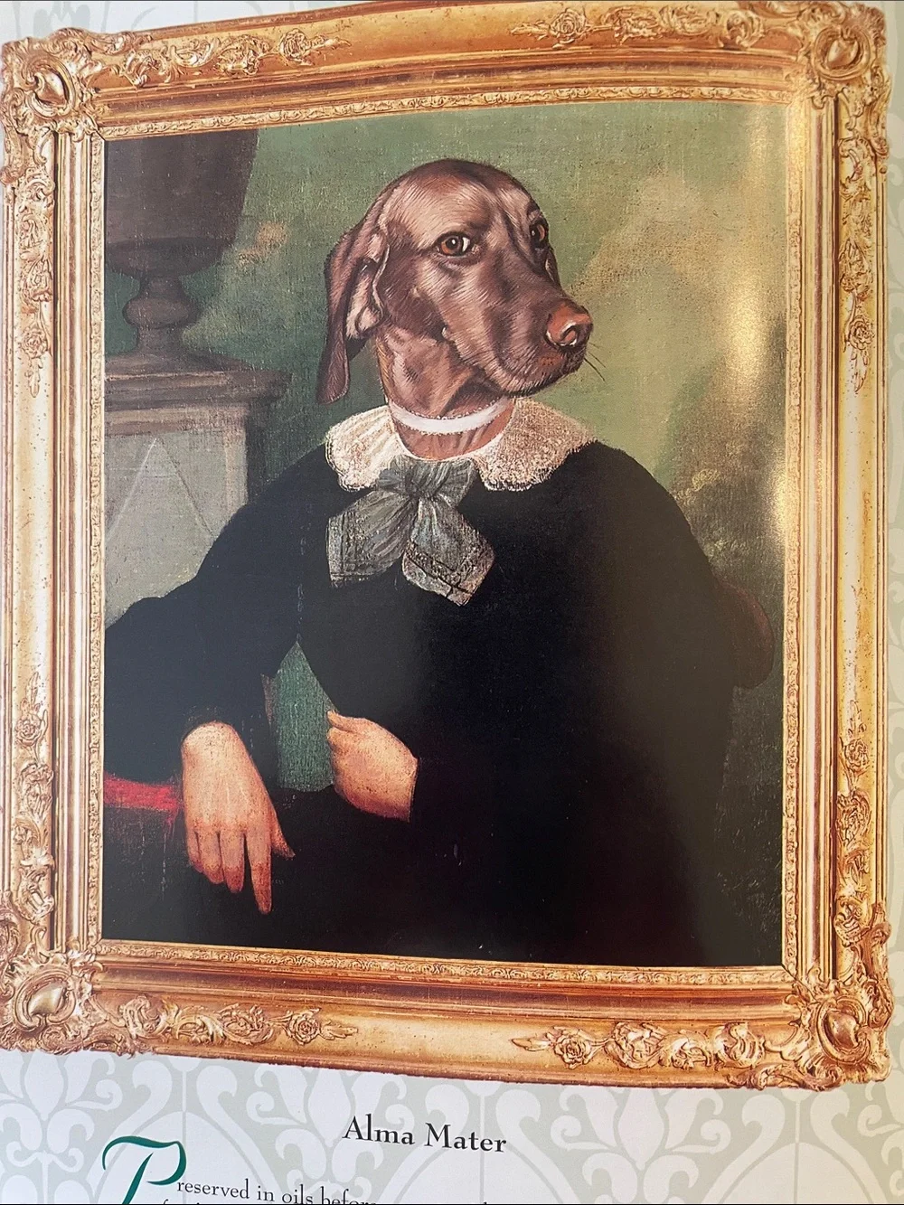 91 pp filled with fabulous dog portraits. Dust cover has a taped rip
